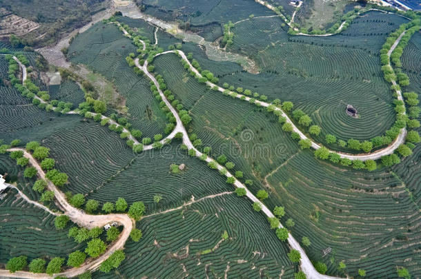 空气的<strong>摄影</strong>向顶关于指已提到的人山茶水花园风景