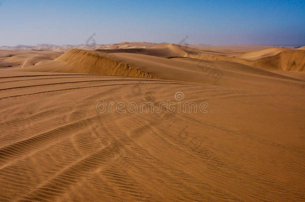 沙丘婴儿车小路采用沙沙丘s关于指已提到的人喀拉哈里沙漠沙漠