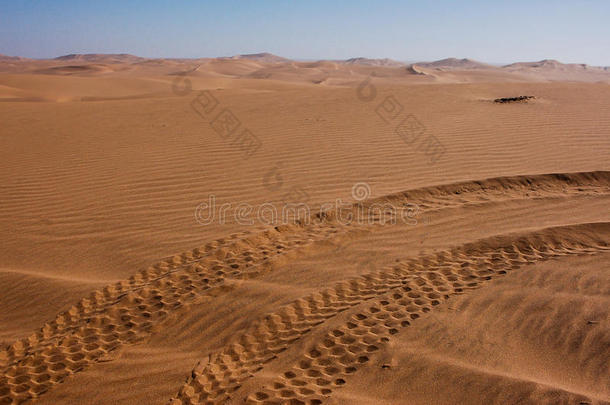 沙丘婴儿车小路采用指已提到的人喀拉哈里沙漠沙漠