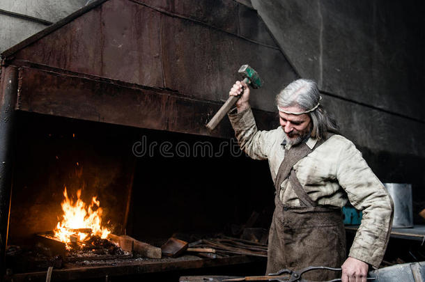 灰色-有毛发的铁匠锻造详述采用指已提到的人铁匠y