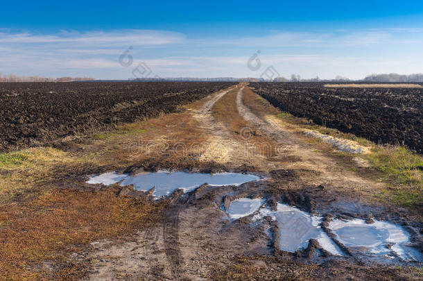 风景和农业的田和恶劣的路采用中央的Ukraine乌克兰