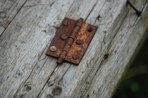 老的和生锈的门铰链向一木制的门.