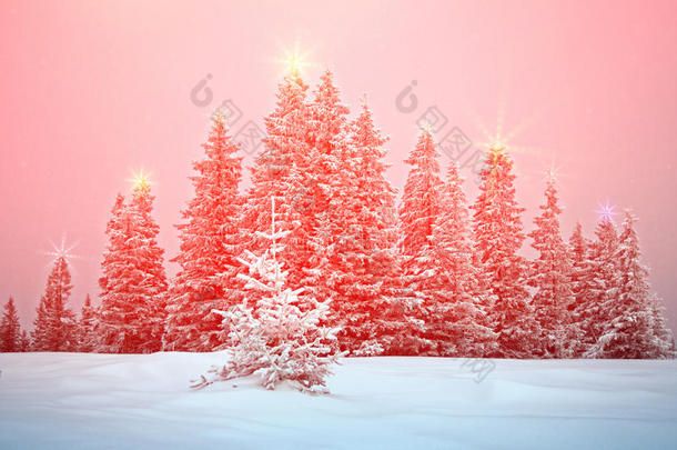 神秘的冬风景和树在圣诞节家畜的肺脏<strong>发出</strong>光