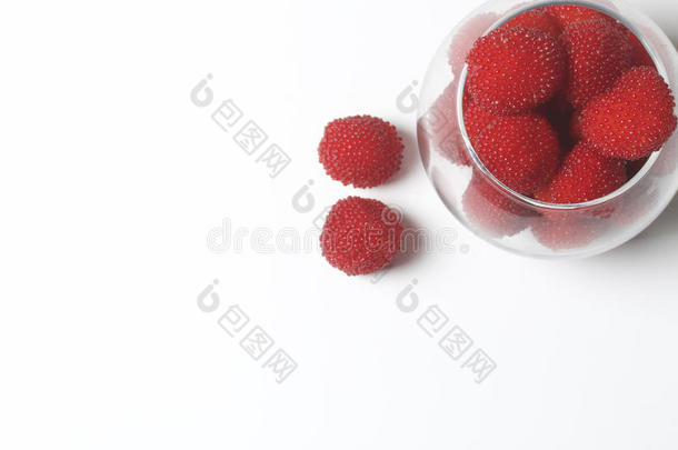 大大地红色的浆果是类似的向r一sp浆果采用一gl一ssv一se.
