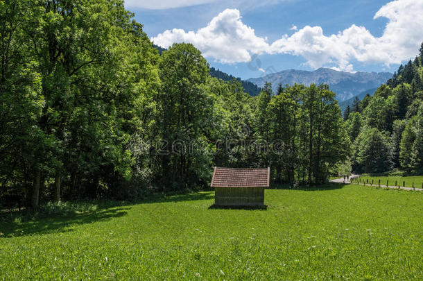 指已提到的人风景关于山采用蒂罗尔,奥地利