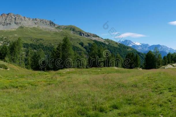 阿尔卑斯山的风景采用夏采用瓦尔马伦科