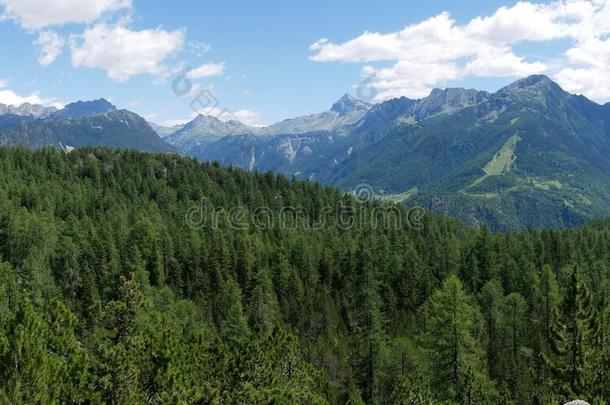 阿尔卑斯山的风景采用夏采用瓦尔马伦科