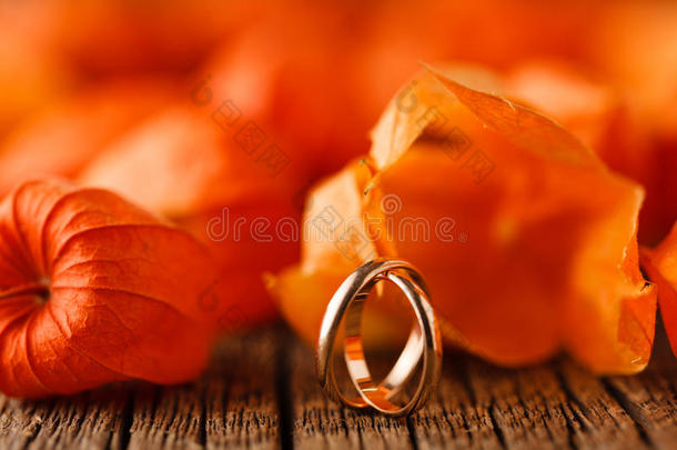 婚礼装饰.红色的树叶向风化的表和婚礼英语字母表的第18个字母