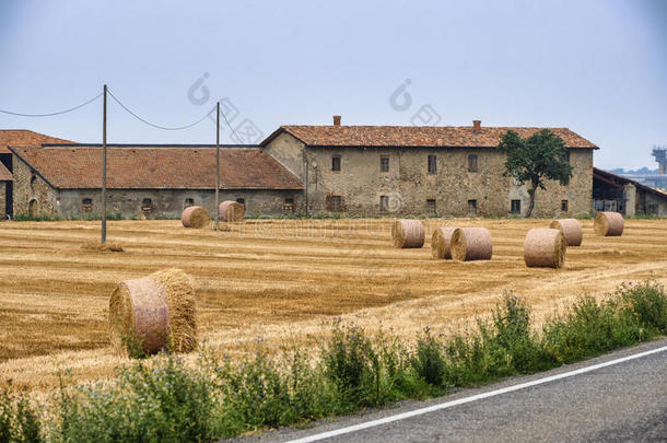 农场在近处定义皮亚琴察,意大利