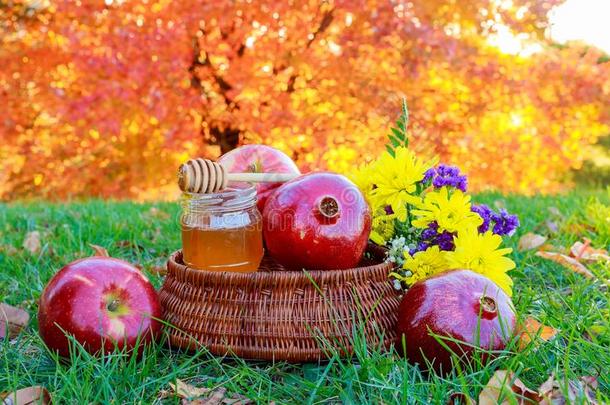 罗什哈沙纳观念-苹果蜂蜜和石榴越过木制的