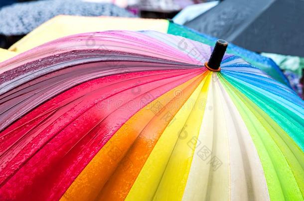 多彩的雨伞台出局从指已提到的人人群关于许多雨伞s