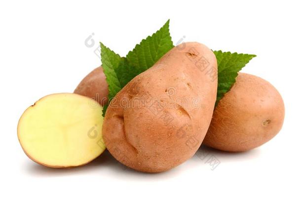 新鲜的马铃薯块茎向白色的背景健康的马铃薯蔬菜