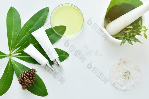 化妆品瓶子容器和绿色的药草的树叶,空白的标签