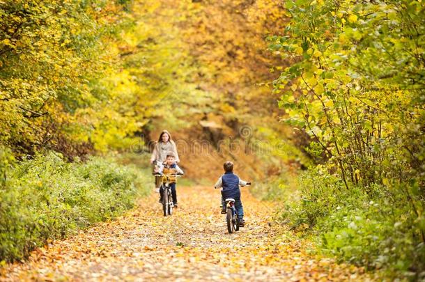 母亲和小的孩子骑脚踏车兜风采用秋公园.