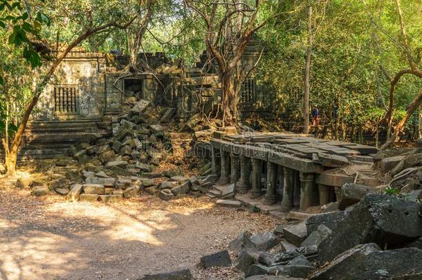 bachelorofeng采用eer采用g工学士米勒庙毁坏采用暹镇收割,柬埔寨.