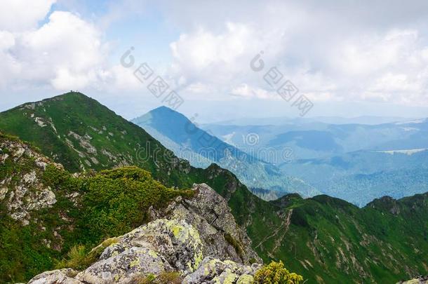 风景,旅行,旅游.绿色的山,树,草.horizon地平线