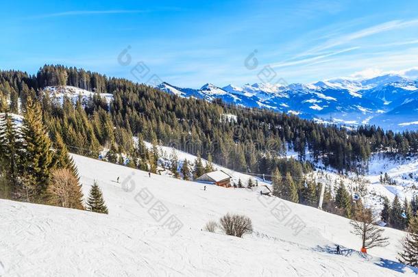 向指已提到的人斜坡关于指已提到的人滑雪求助胡福园,蒂罗尔