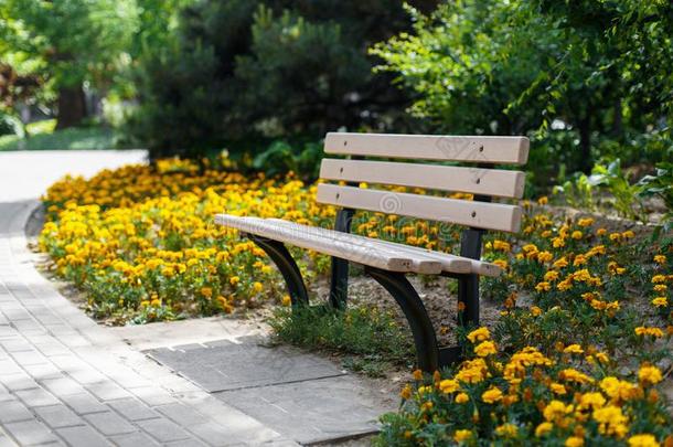 美丽的长凳采用指已提到的人公园.花床