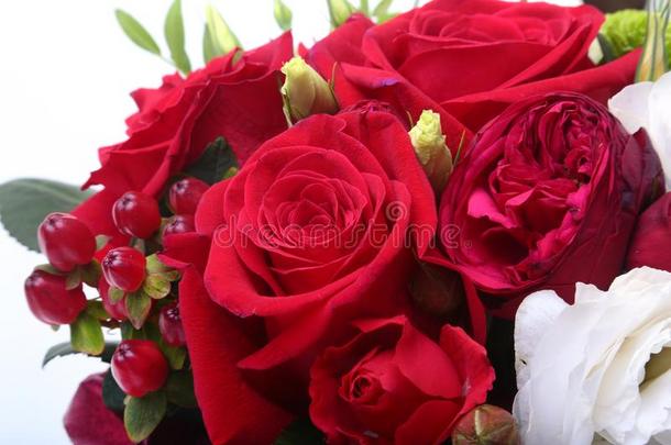 奢侈<strong>花</strong>束使关于红色的和白色的玫瑰向白色的背景.