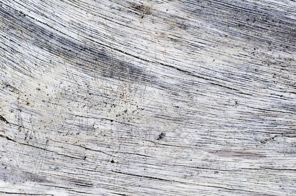 盐腌的海木材质地.灰色木材板和风化的破裂