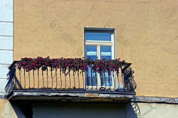 铁器<strong>阳台</strong>和<strong>花盆</strong>和红色的花和一窗向一