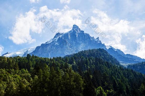 montane山地森林白从夏蒙尼