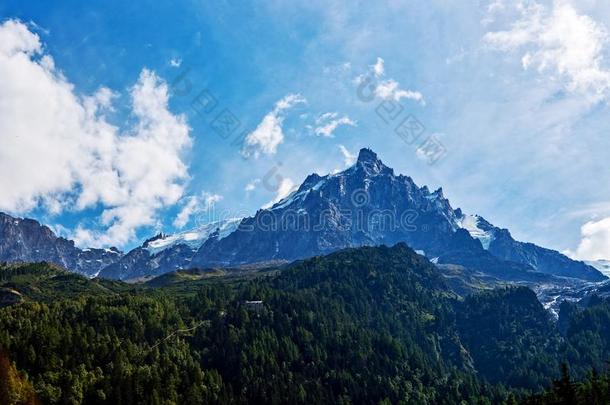 montane山地森林白从夏蒙尼