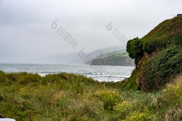 英寸海滩向指已提到的人野生的在大西洋里的道路采用县爱尔兰乳牛,爱尔兰