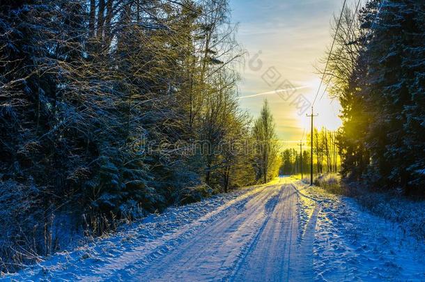 黄色的日落向一下雪的乡村ro一d