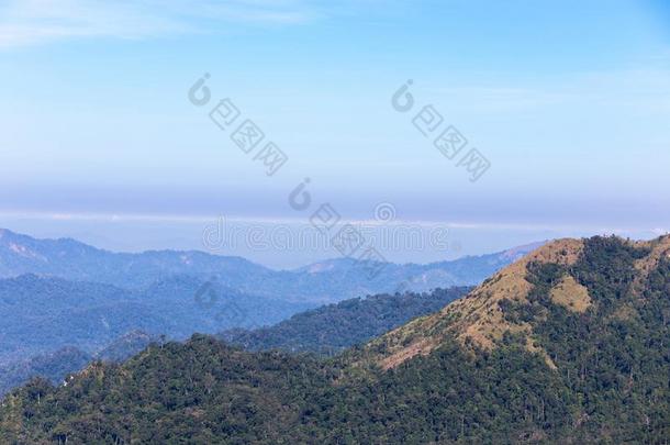 木制的阳台台阶地面向观点高的热带的山