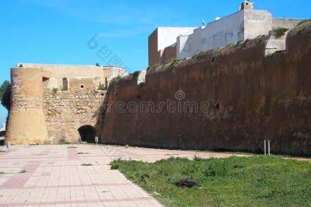堡垒采用elevation仰角贾迪达采用摩洛哥羊皮革