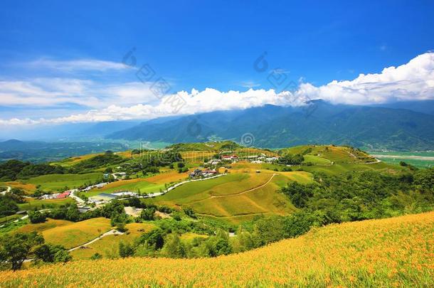 美丽的<strong>风</strong>景关于<strong>黄花</strong>菜花和村民和山