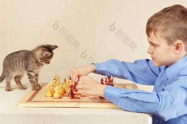 小的男孩和有条纹的小猫演奏棋.