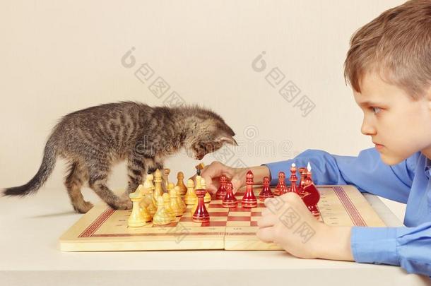小的大师和平纹小猫演奏棋.