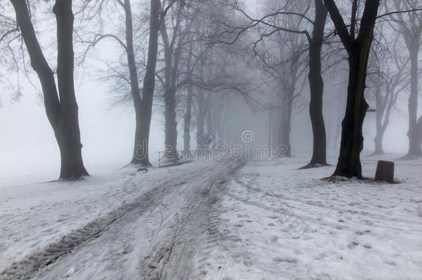 老的公园向一冬d一y和薄雾