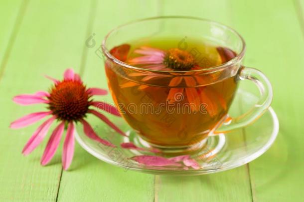 杯子关于松果菊属植物茶水向绿色的木制的表