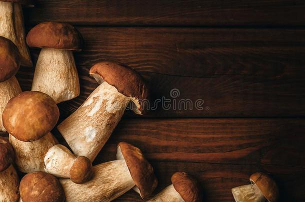 秋背景,牛肝菌蘑菇向黑暗的棕色的木材,复制品speciality专业