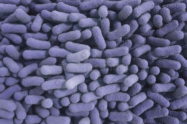 3英语字母表中的第四个字母使说明关于沙门氏菌细菌