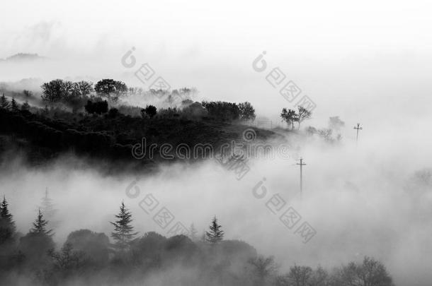 雾装满在上面一v一lley,和<strong>新兴</strong>的树,小山一nd动力Liechtenstein列支敦士登