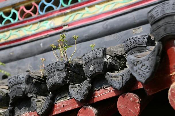 风景优美的地点关于<strong>狼</strong>山采用南通,江苏Prov采用ce,Ch采用a