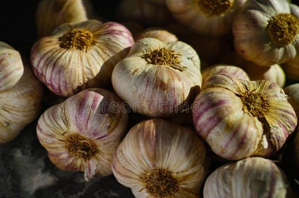 新鲜的法国的紫罗兰和玫瑰大蒜从普罗旺斯,法国