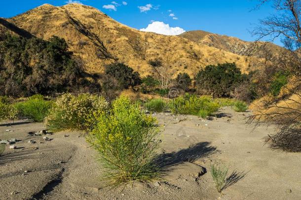 干的干燥的河床采用美国加州峡谷