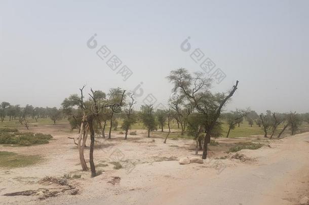 干的干燥的陆地采用Punjab