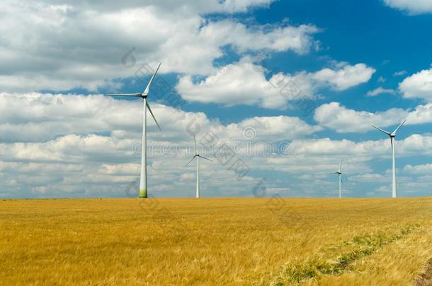风的发电机农场