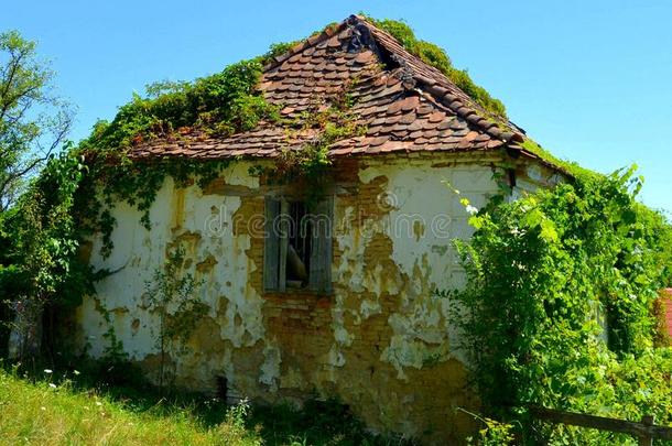 典型的乡下的风景和农民住宅采用C采用cu,给你