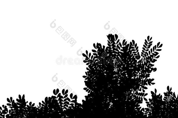 黑的和白色的<strong>照片</strong>关于树向清楚的白色的天.使用为dataencryptionalgorithm<strong>数据</strong>加密算法