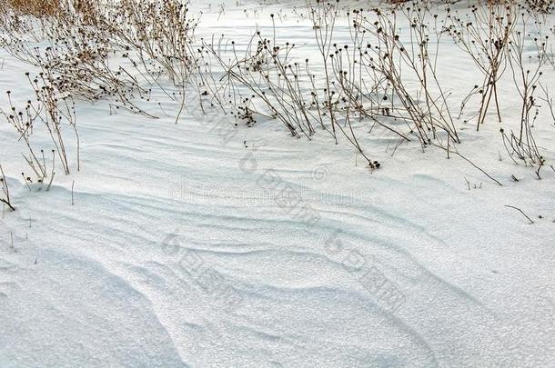 一处女被雪困住的田