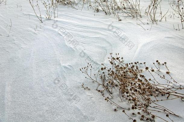 一处女<strong>被</strong>雪<strong>困住</strong>的田