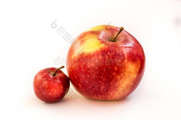 一大大地红色的和粉红色的苹果和一sm一llp一r一dise苹果野生的向一