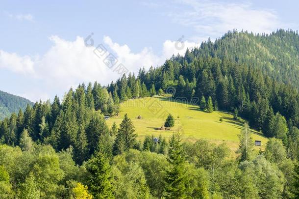 美丽的草地向指已提到的人山